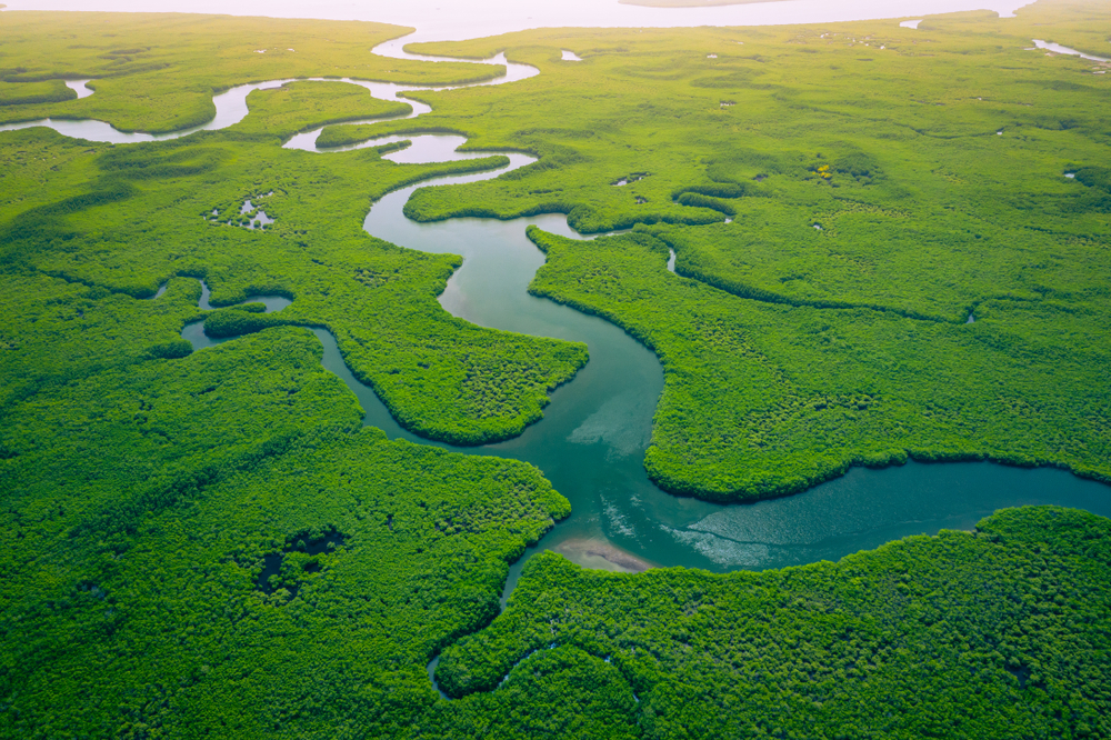 Gambia National Parks