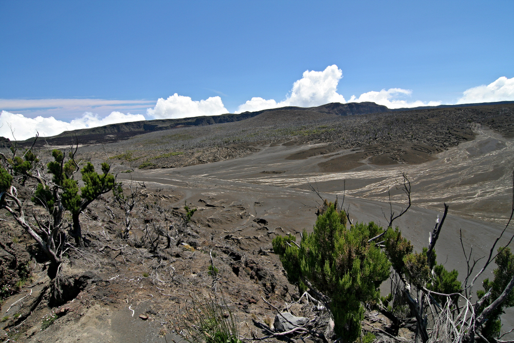 Mohéli National Park
