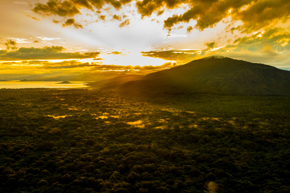 Nechisar National Park