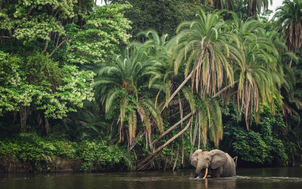 Republic of the Congo National Parks