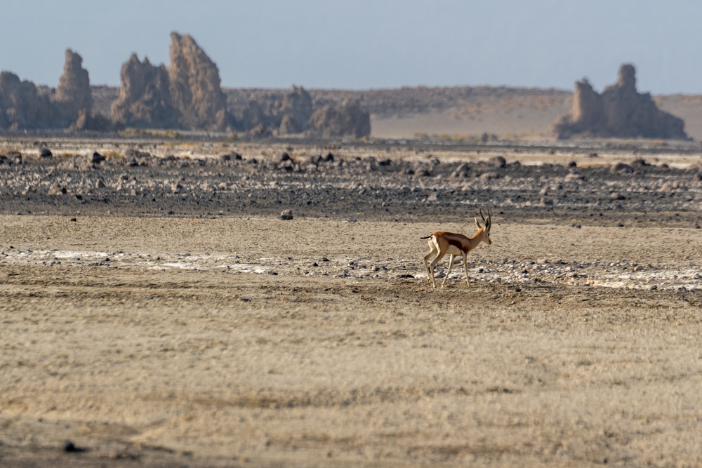 Yoboki National Park