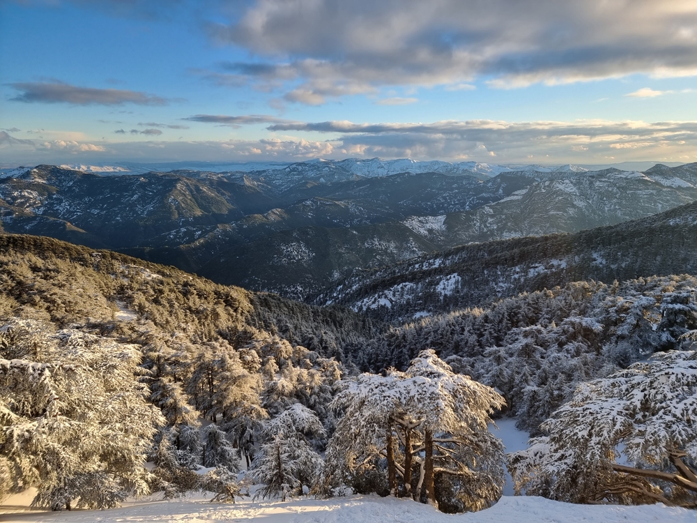 Chrea National Park