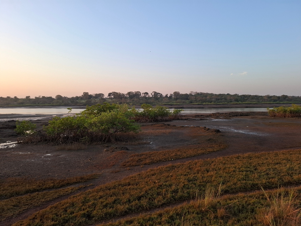 Orango National Park
