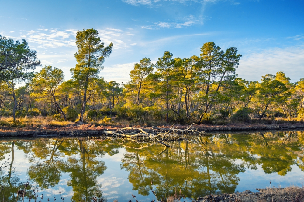 Divjaka Karavasta National Park