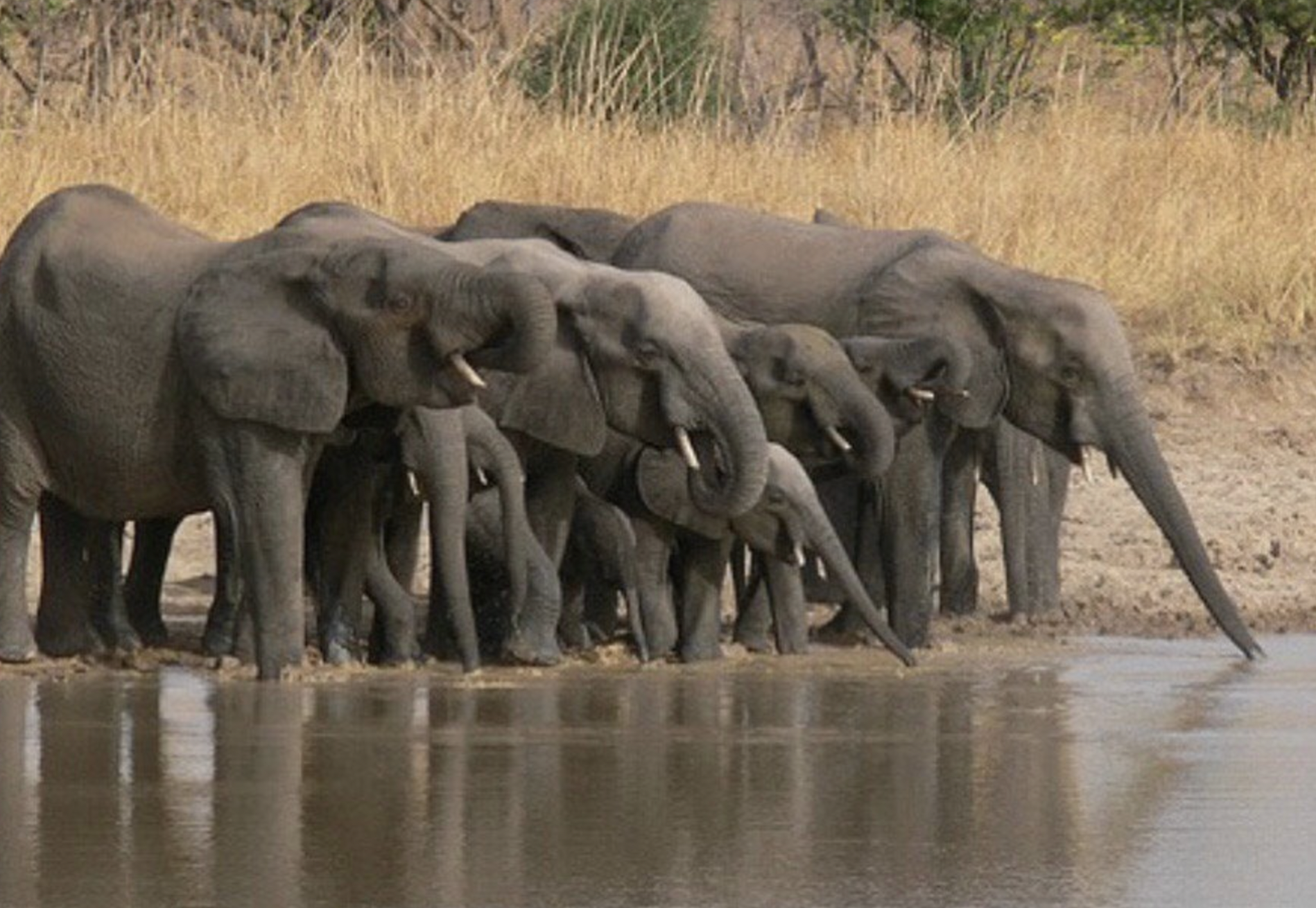 Fosse aux Lions National Park