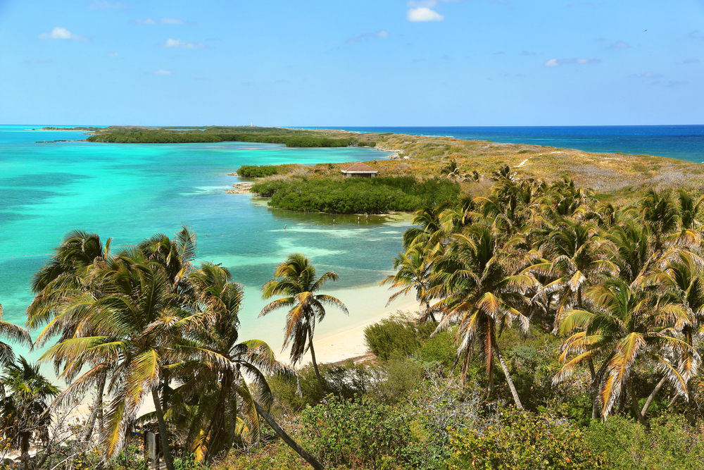 Isla Contoy National Park green waters