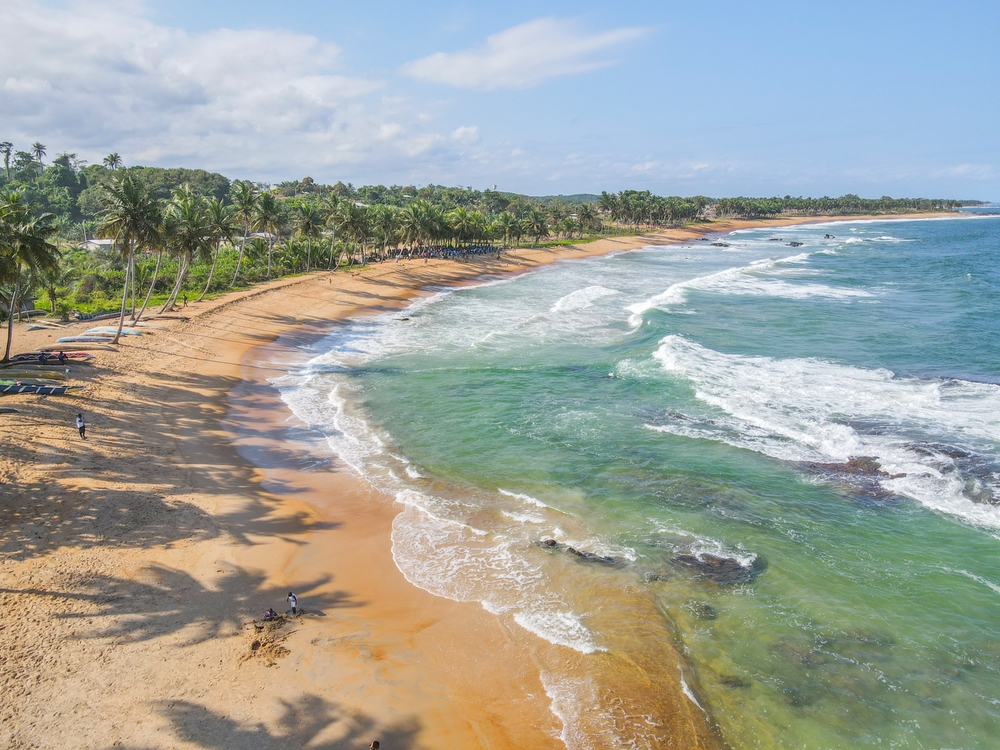 Ivory Coast National Parks