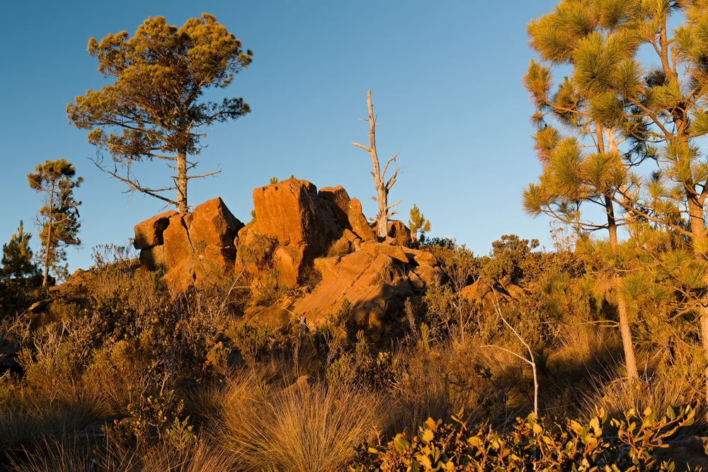 Jose Armando Bermudez National Park landscape