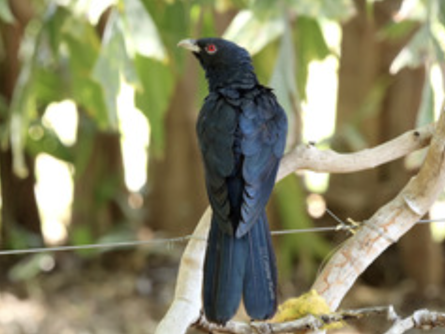 Timor-Leste National Parks