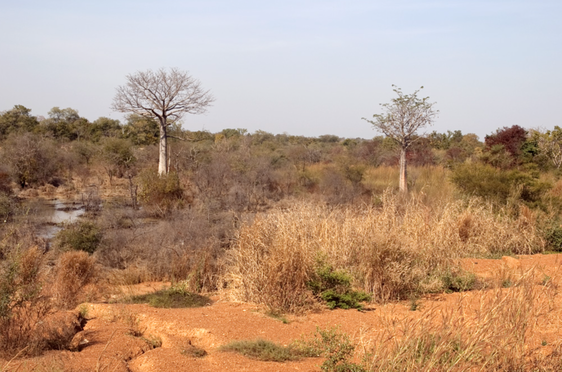 Kéran National Park