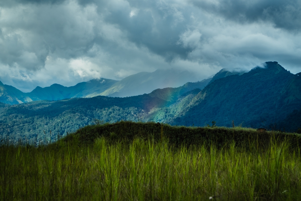 Kpo Mountains National Park Liberia