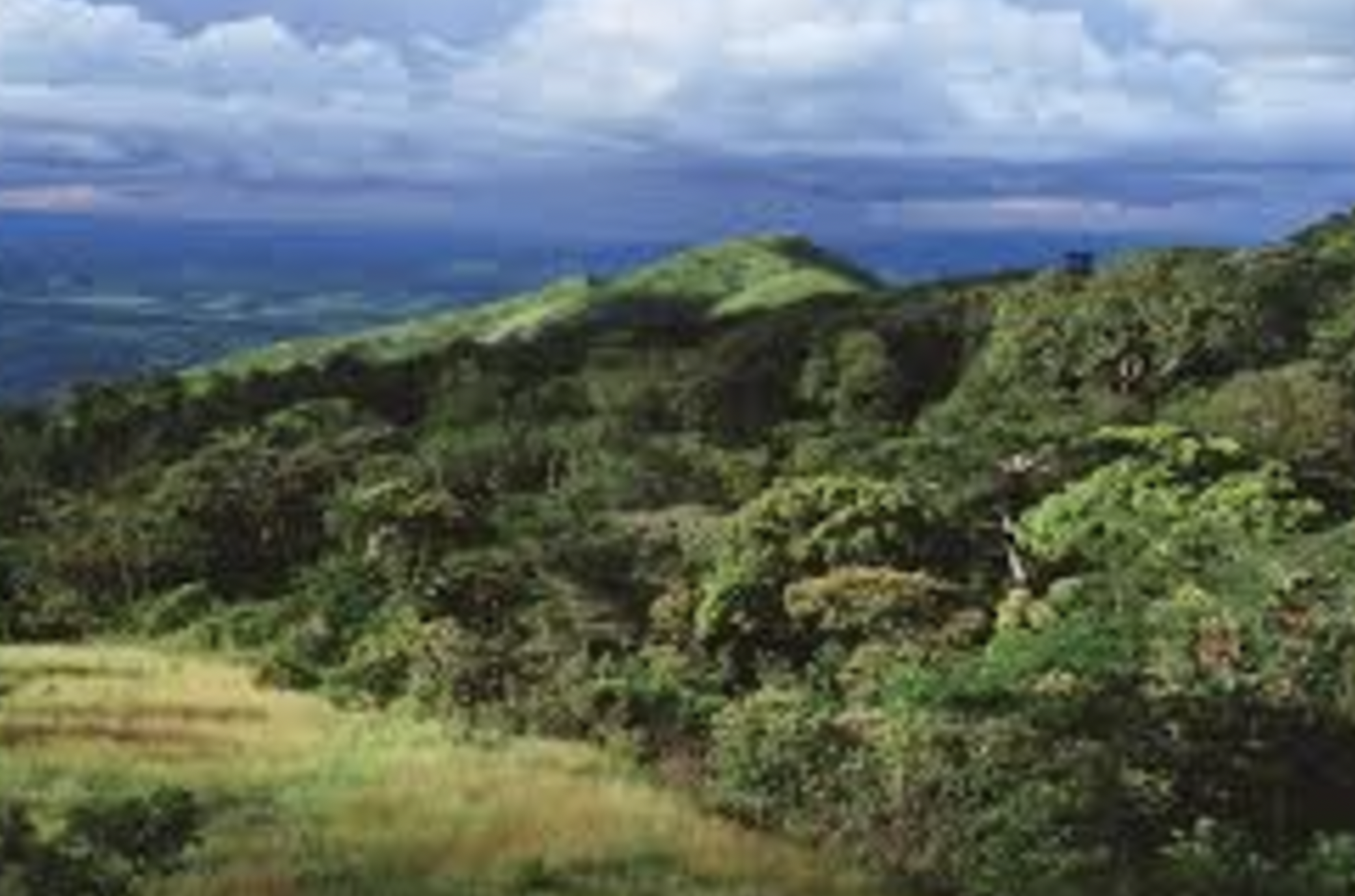 Kpo Mountains National Park