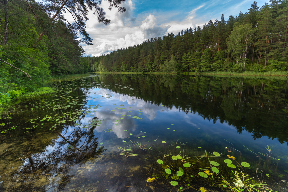 Lake in Aukstaitija National Park