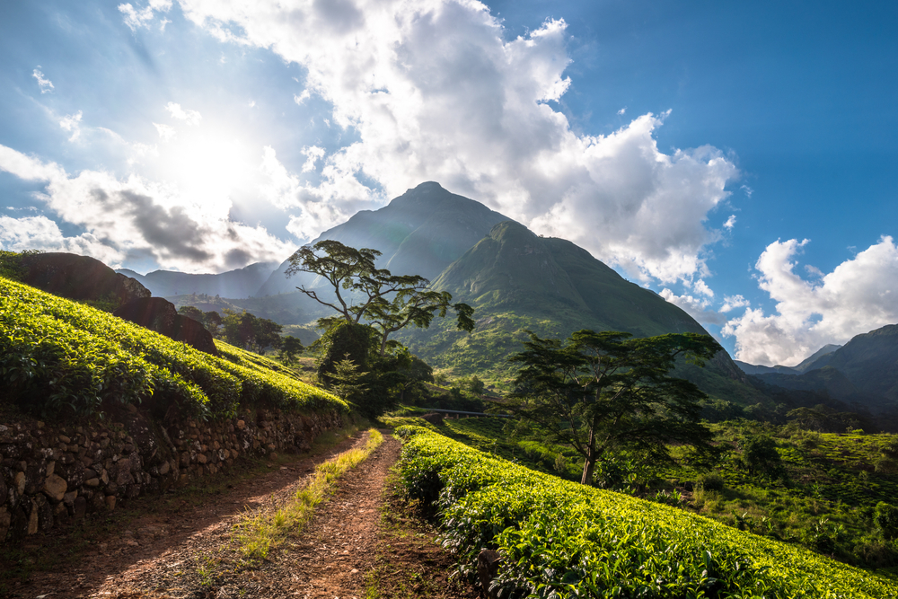 Malawi National Parks