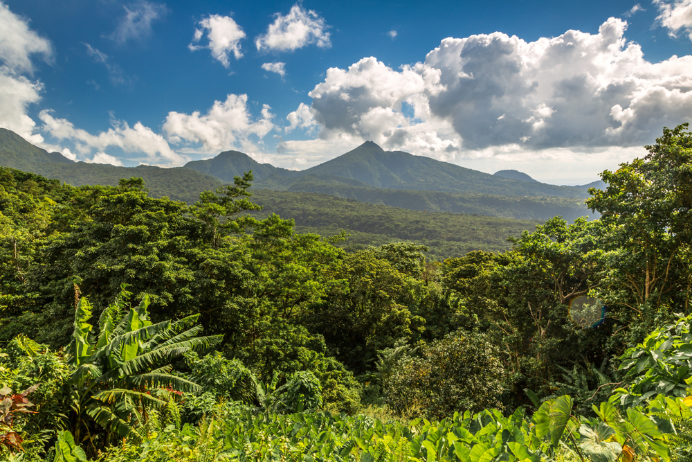 Morne Trois Pitons National Park