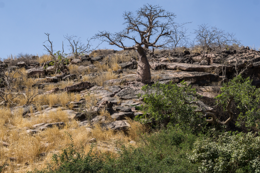 Niger National Parks