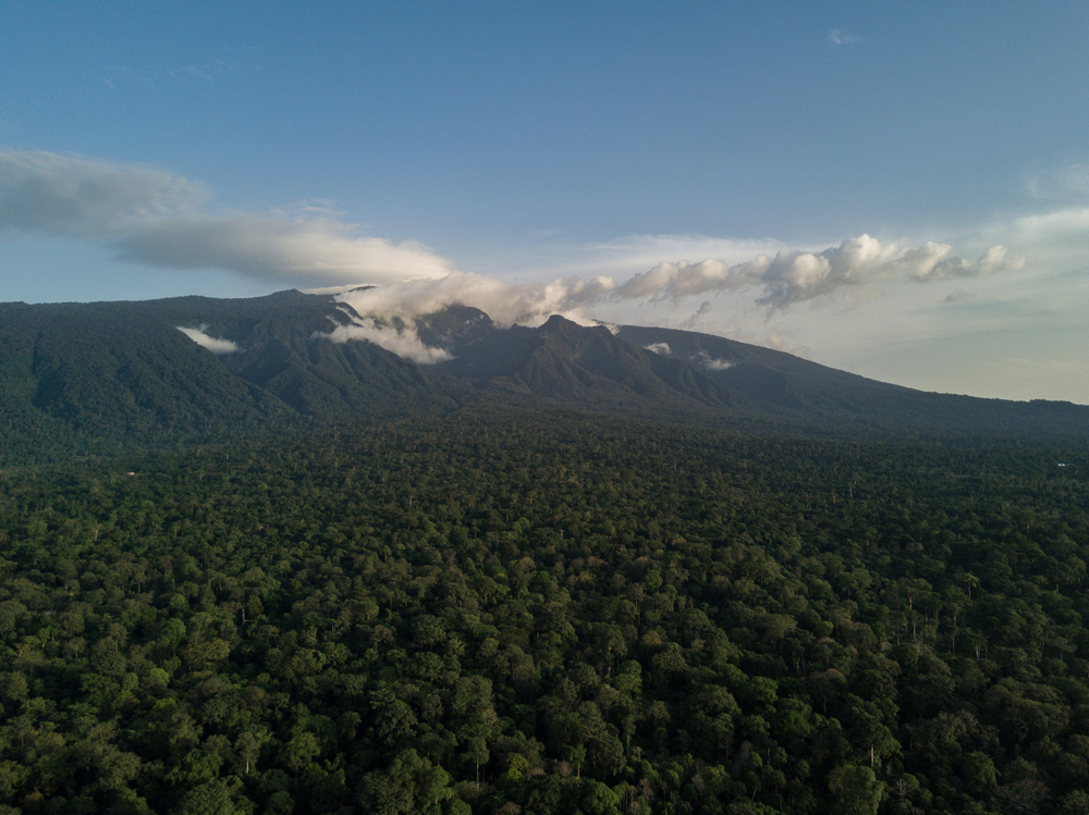 Monte Alén National Park