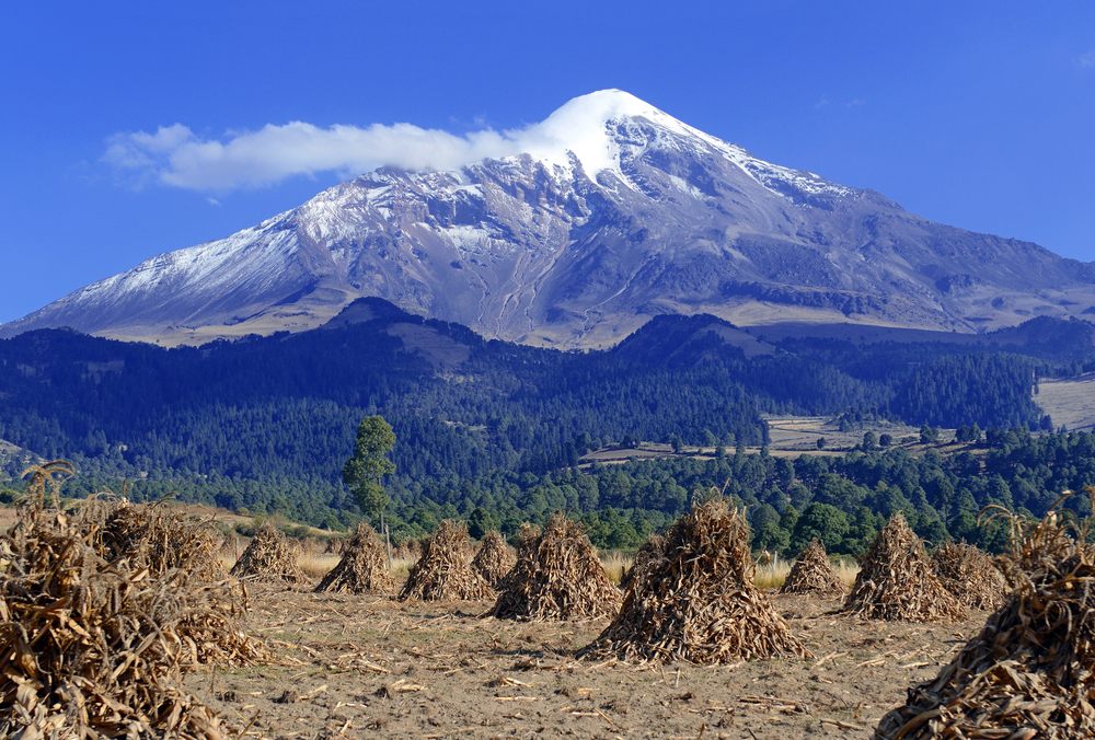 Desierto de los Leones National Park cultural history