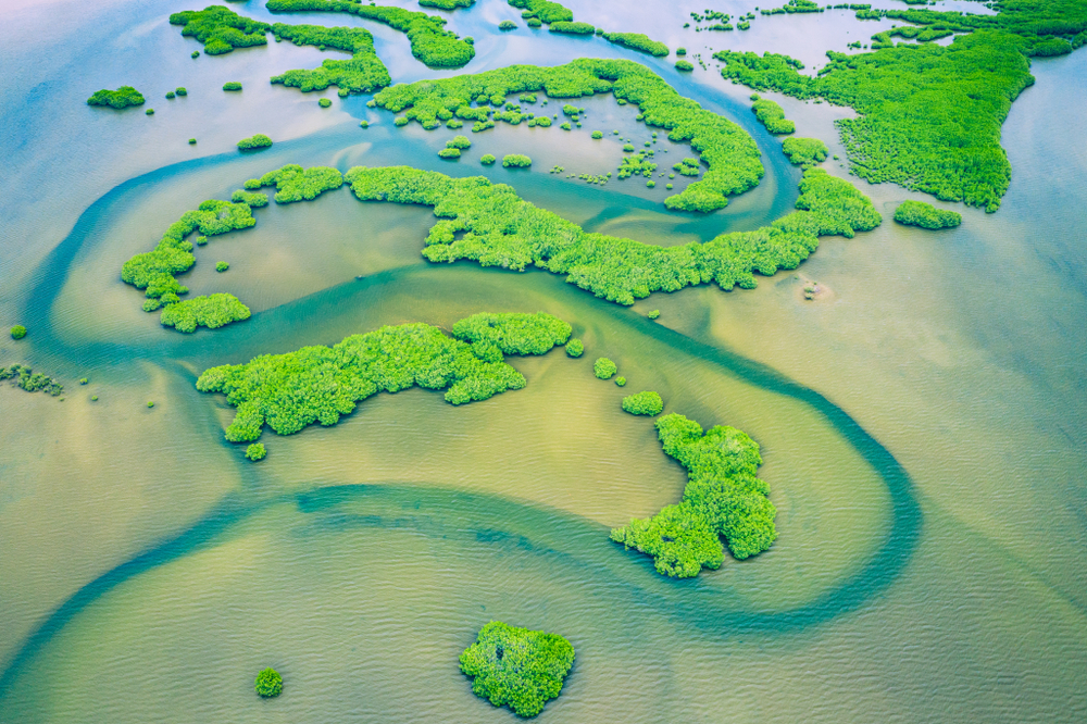 Niokolo Koba National Park