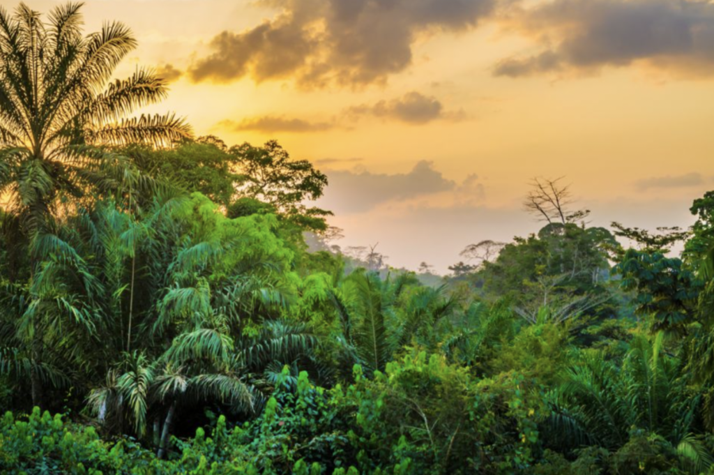 Kpo Mountains National Park