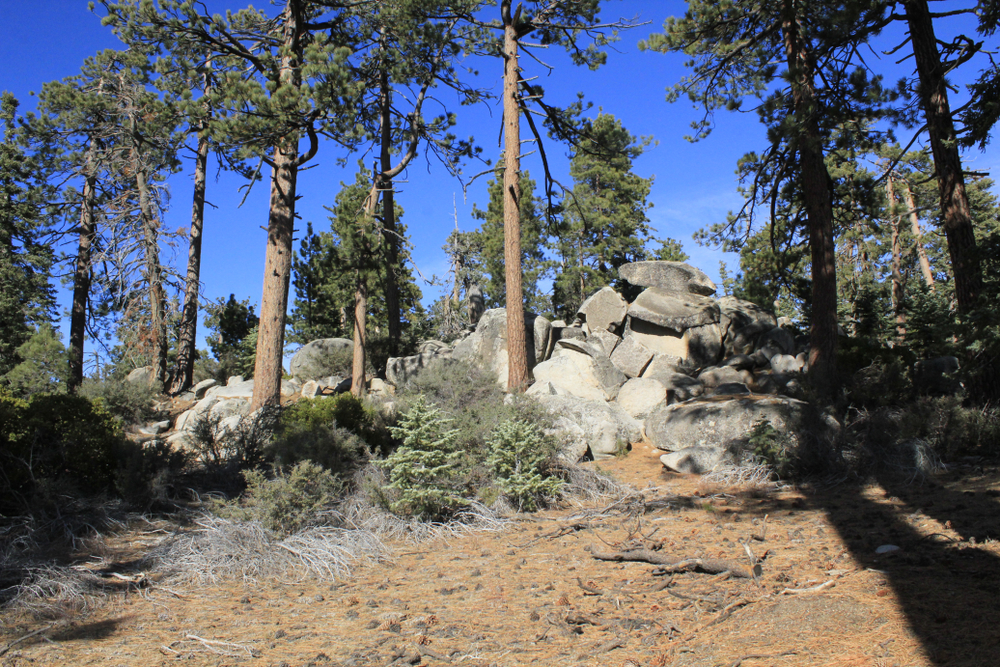 Sierra de San Pedro Martir National Park landscape