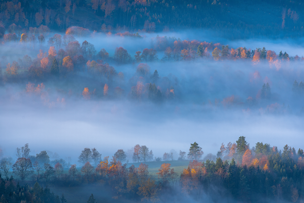 Podyjí National Park