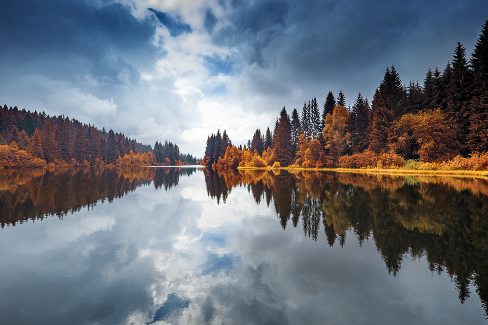 Sumava National Park