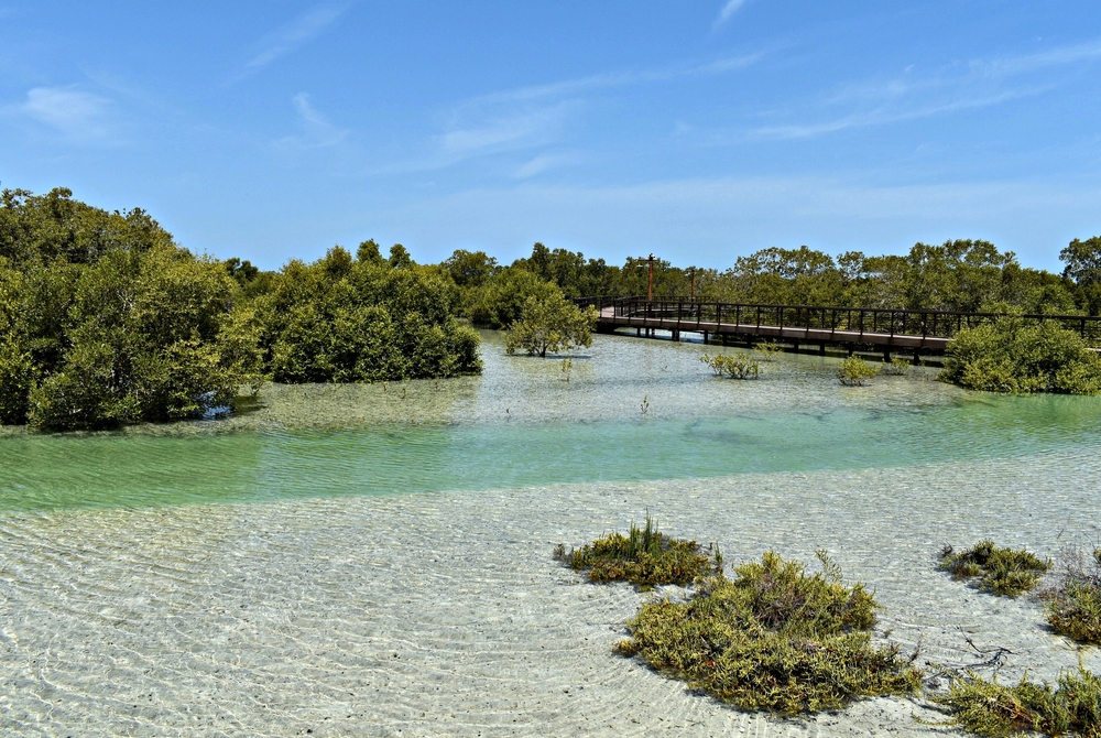 UAE National Parks | National Parks Association