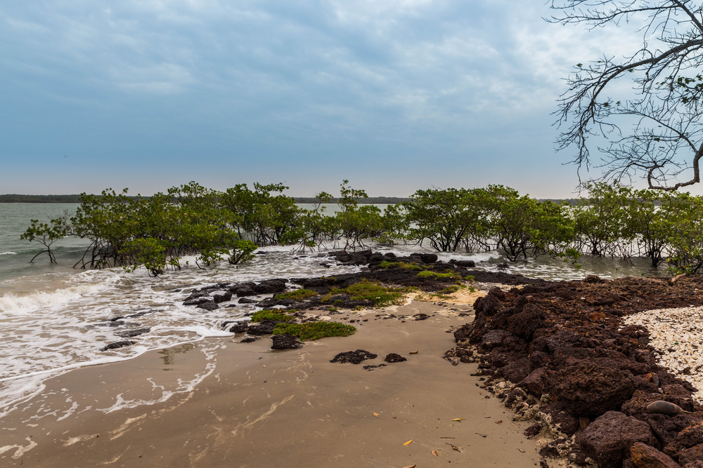 Varela National Park