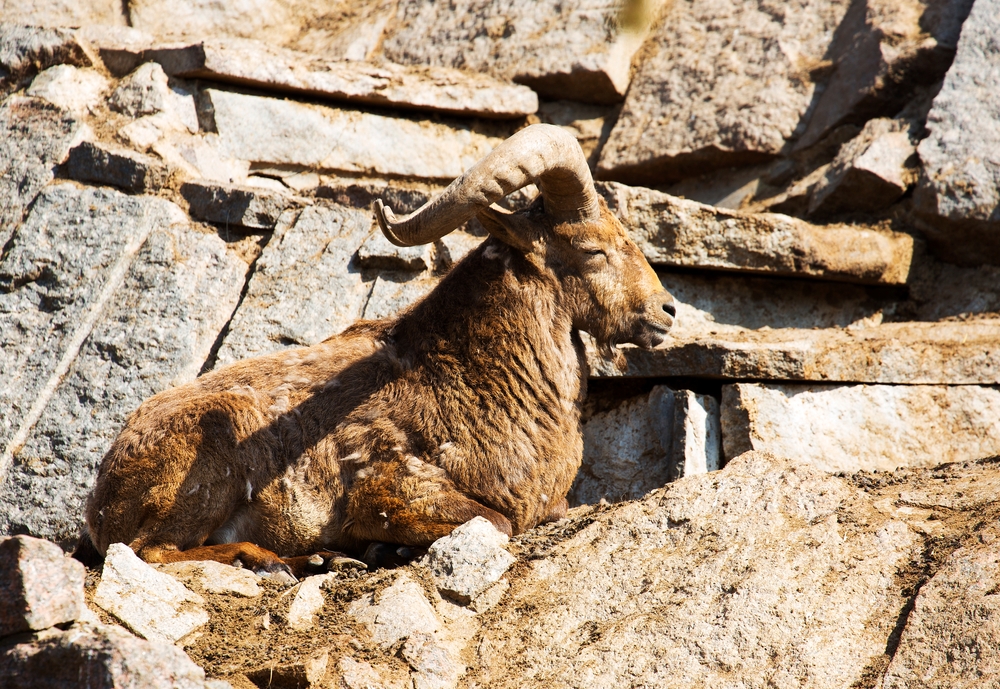 Altyaghach National Park