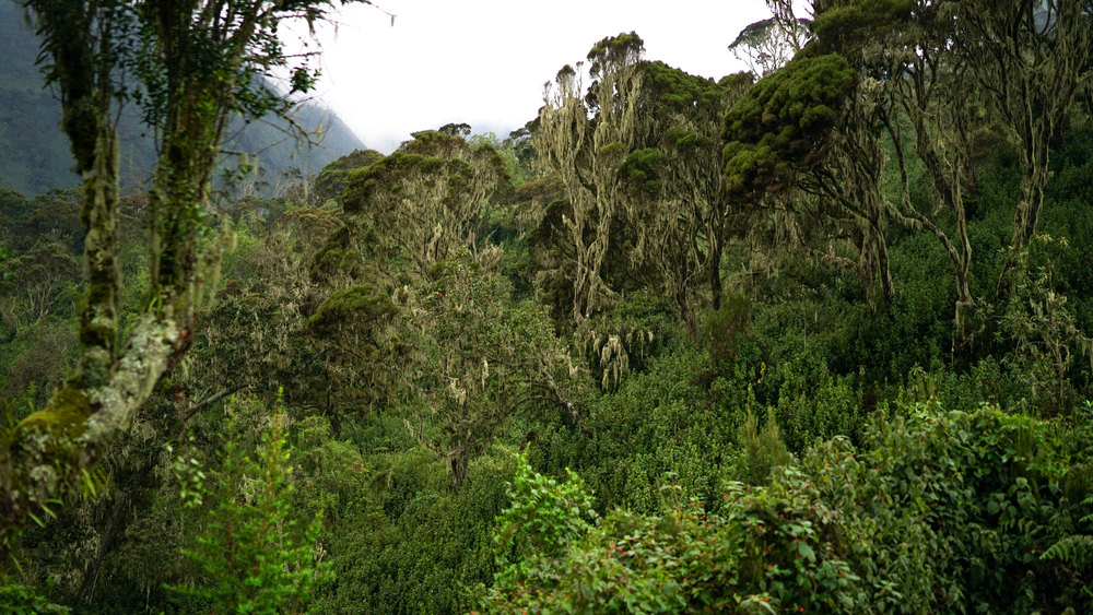 André Félix National Park