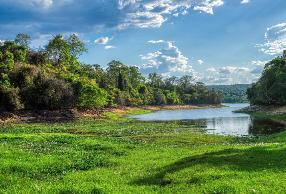 Ankarafantsika National Park