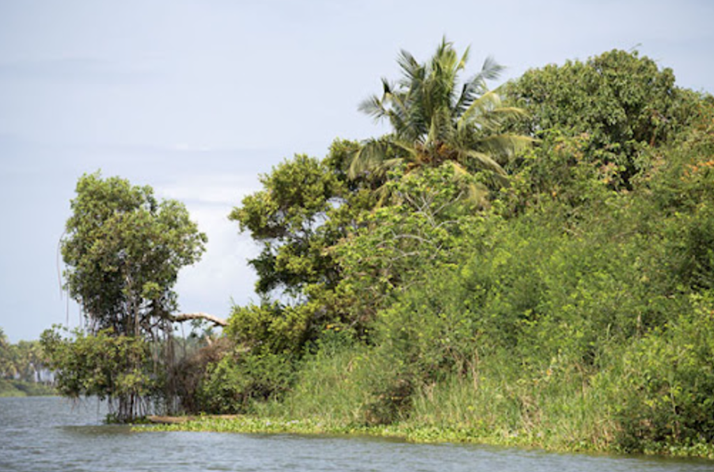 Comoé National Park