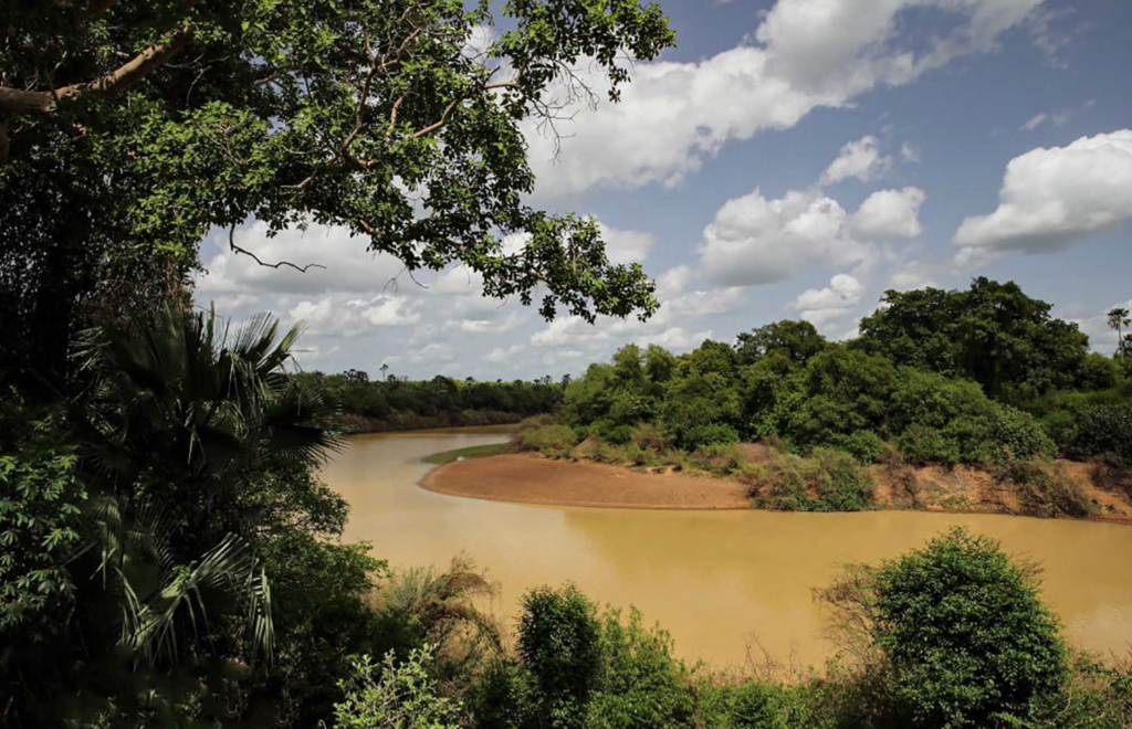 Haut Niger National Park