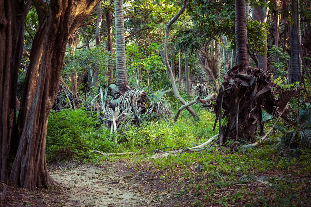 Bijilo National Park