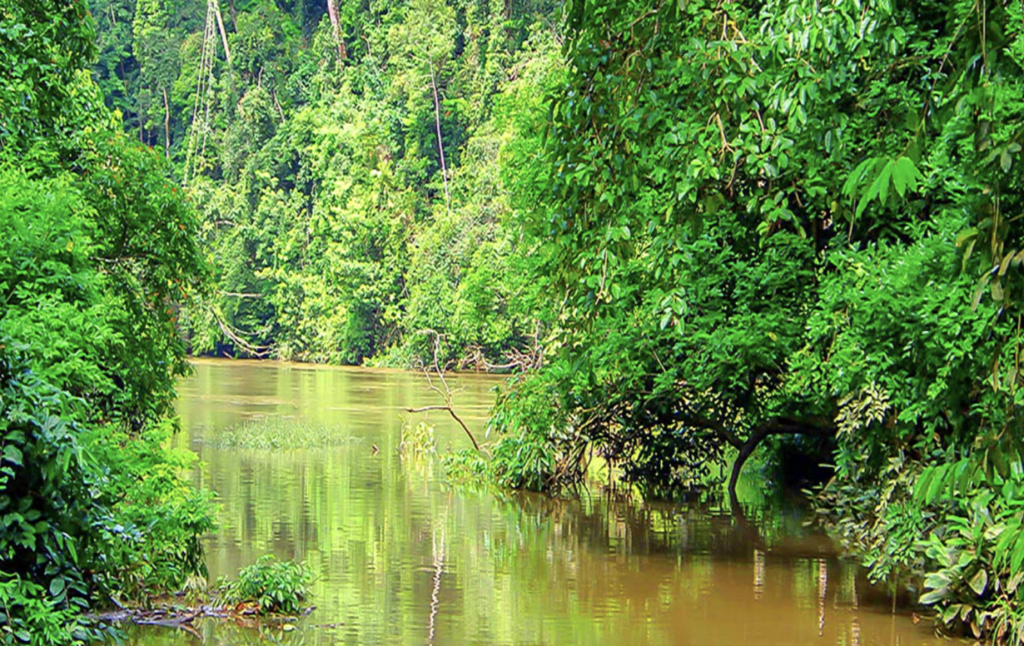 Mwagné National Park