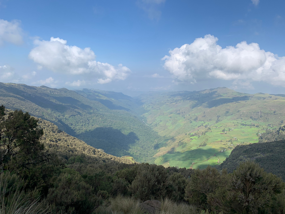 Borena National Park