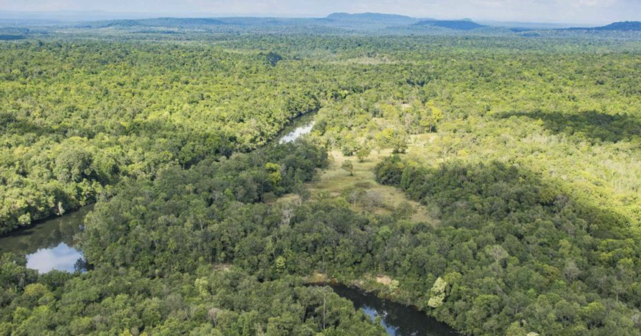 Botum Sakor National Park