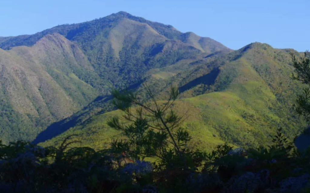 Sidi Toui National Park