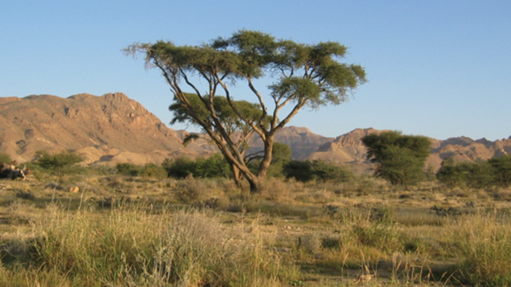 Sidi Toui National Park