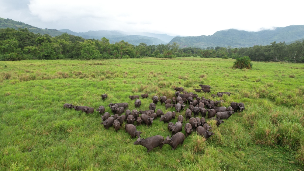 Chebera Churchura National Park