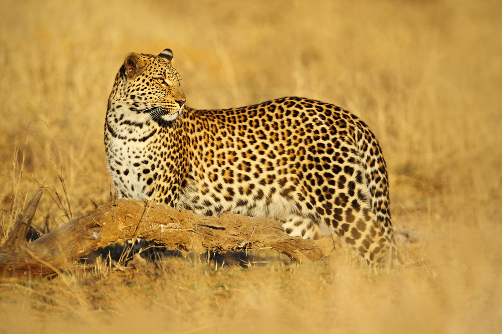 Chizarira National Park