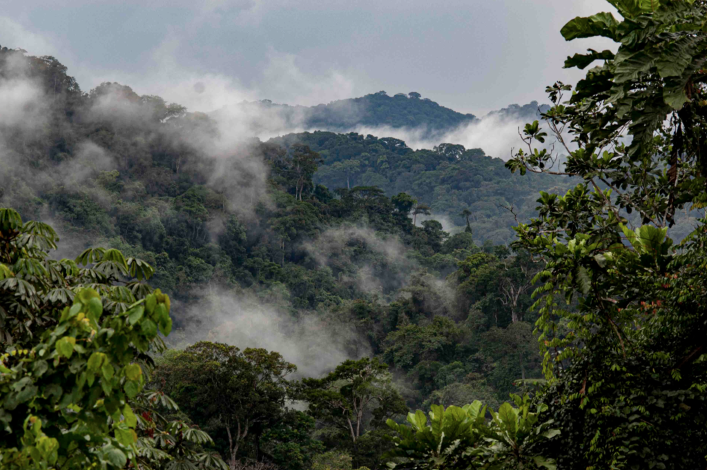 Mwagné National Park