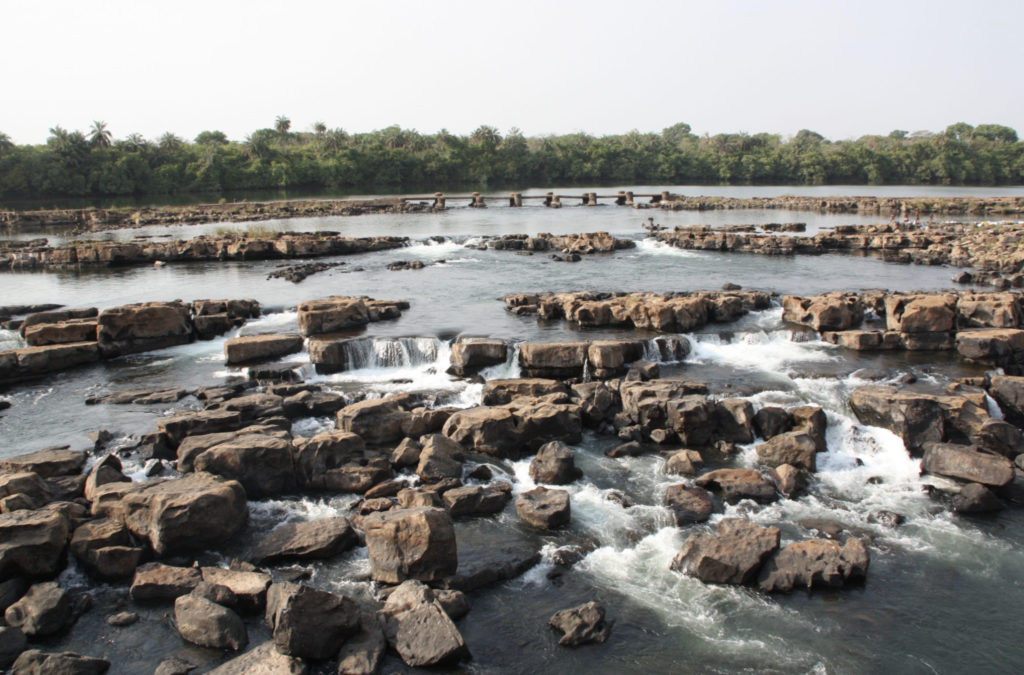 Orango National Park