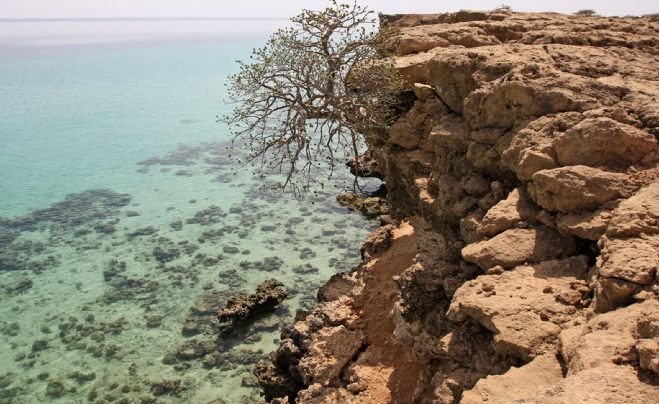 Dahlak Marine National Park