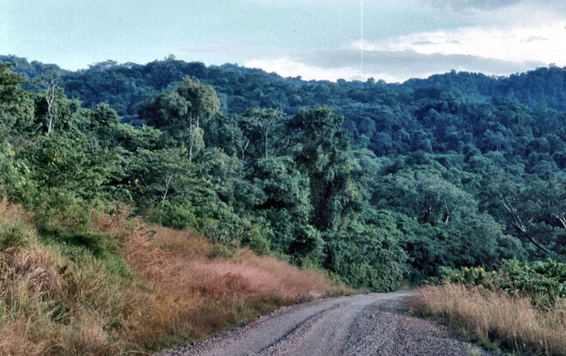 Didessa National Park