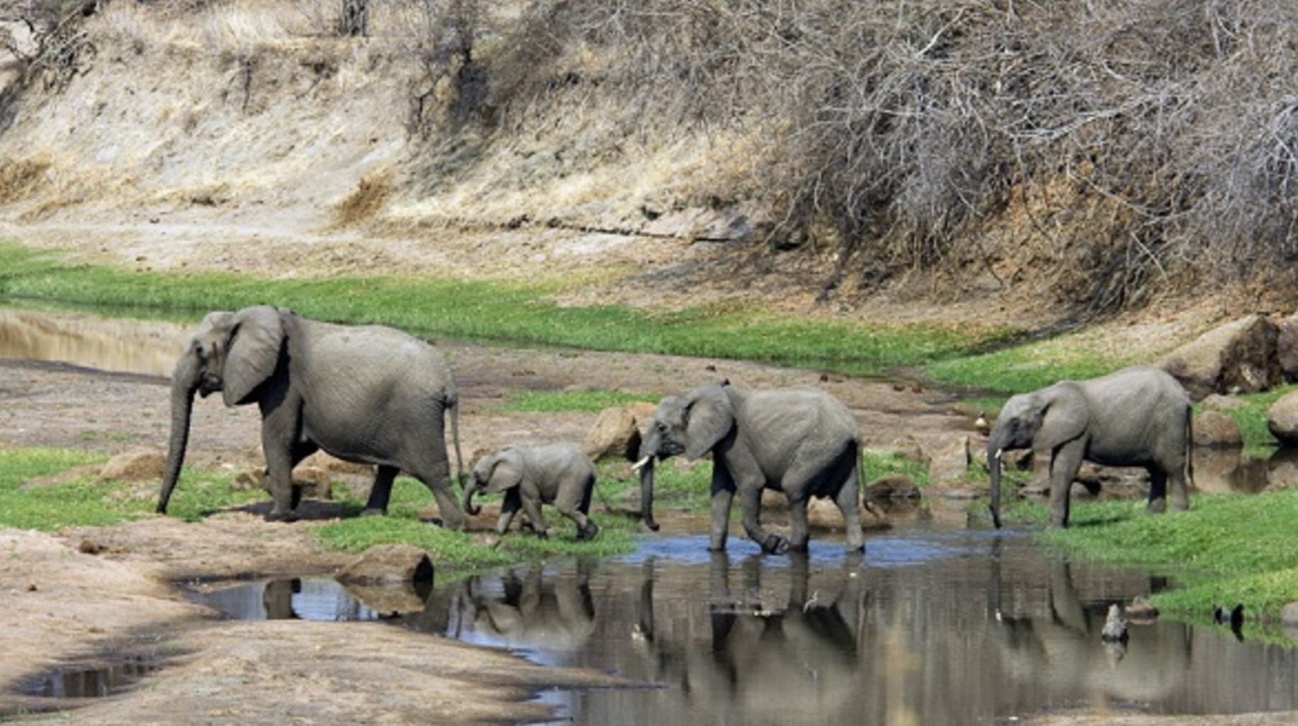 Gashaka-Gumti National Park