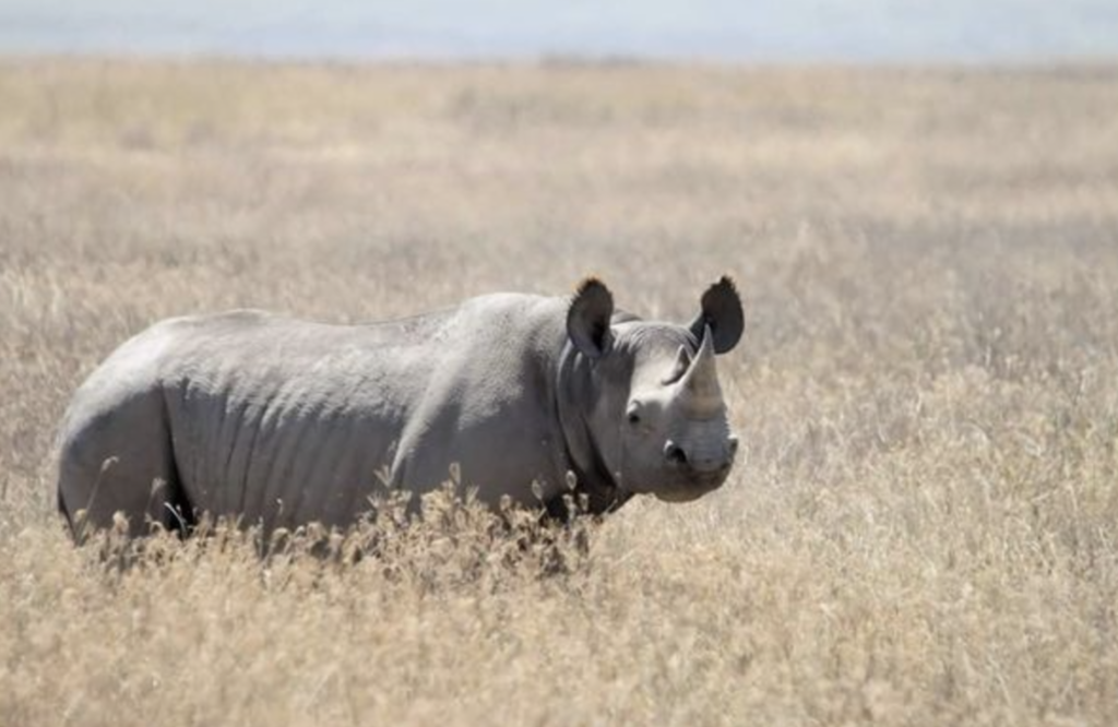 Loka-Abaya National Park