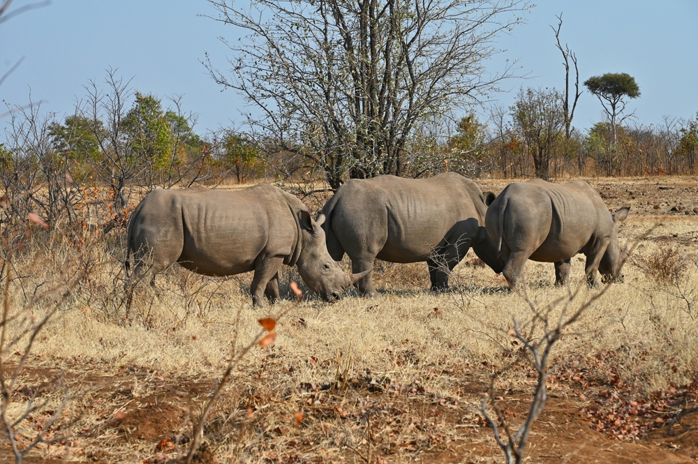 Loka-Abaya National Park