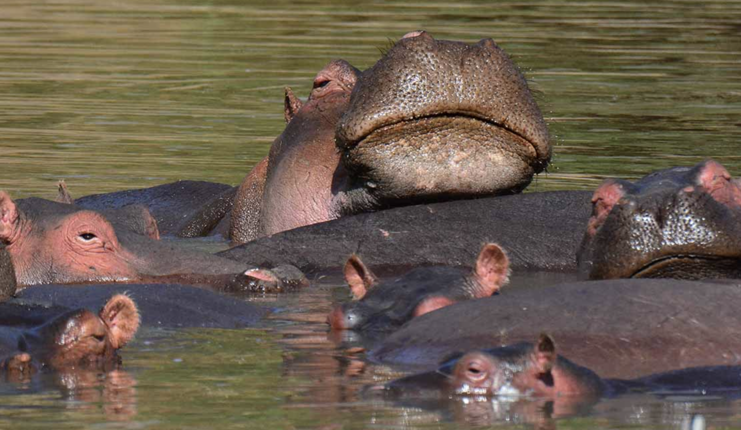 Gibe Sheloko National Park